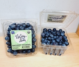 Blueberries 